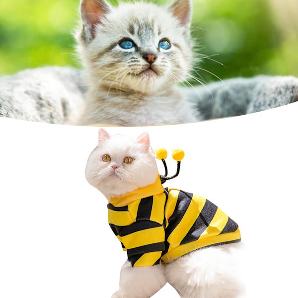 Katttröjor Snygg Söt Djur Höst Vinter Varm Katt Bedårande Kostym för Katter Kattungar Valpar Klassisk Bi Kostym L