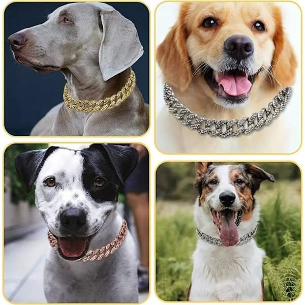 Guldkedja hundhalsband med bling, glitter strass glittrande diamant metall halsband kubansk länk katt halsband för små medelstora stora husdjur hundar valp, 8 i Gold 8 inch