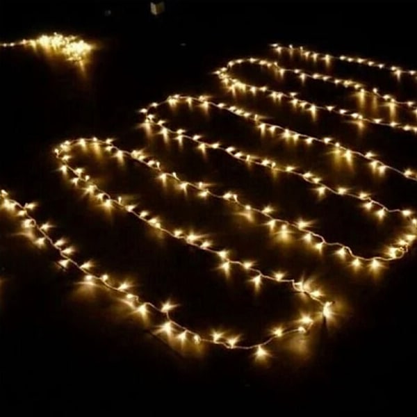 1000 LED Ljusslinga 100M Inomhus Utomhus Trädgårdslampor för Carn{HH}