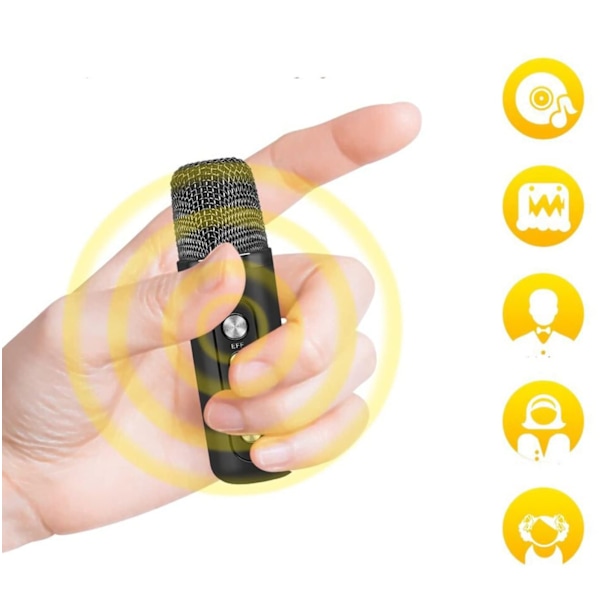 Karaoke med trådløs mikrofon, komplett karaoke maskin Bluetooth høyttaler med 2 mikrofoner bærbar Caraoke