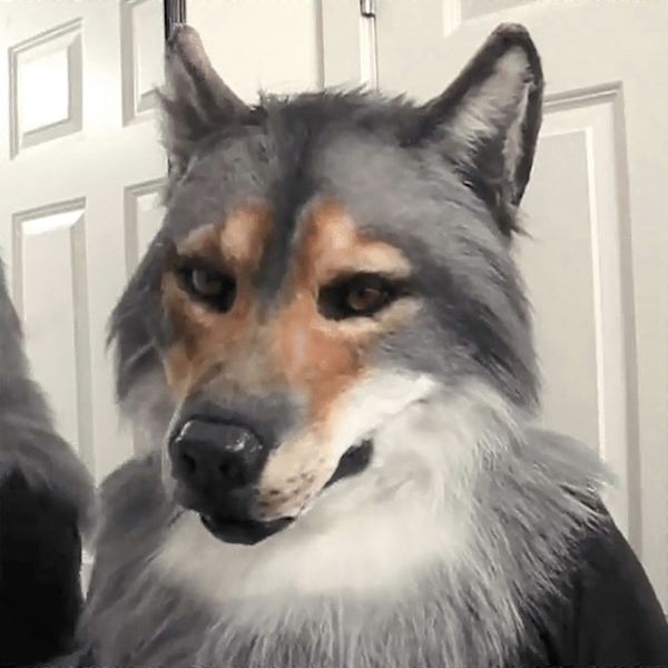 Huvudbonad Kostym Mask Varg Kostym Mask Varg Mask Juldekorationer[HK ...