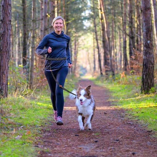 Håndfri hundekobbel, hundesporsele med justerbar midjeløkke, dobbelthåndtak, reflekterende sømmer, ideell for håndfri jogging, gåturer og trening