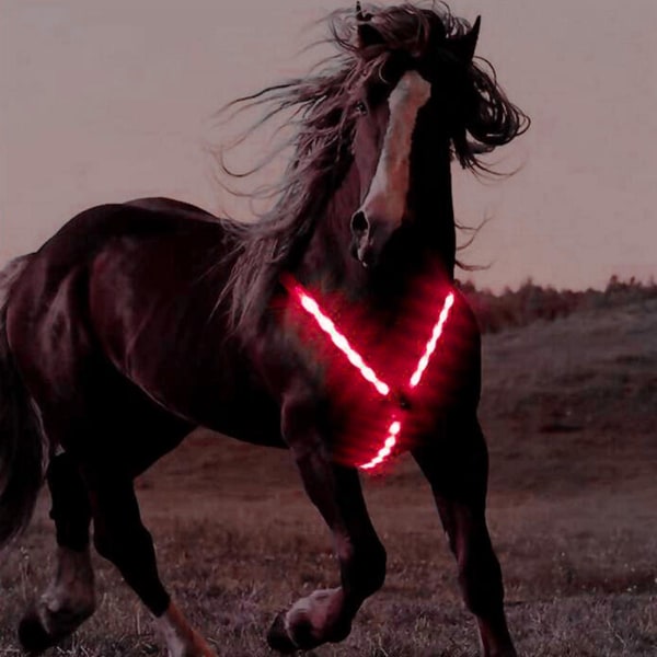 1/2/3/5 justerbar LED-hästbröstkrage mycket synlig Red 1 Pc