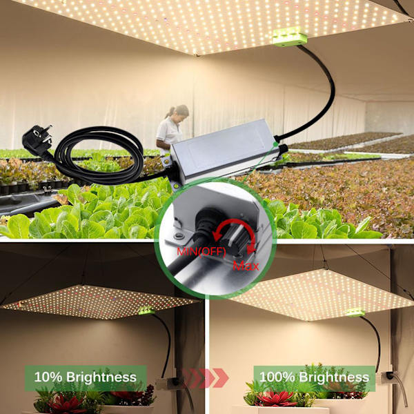 Grow Light Inomhus Vardagsrum Balkong Källare Växt TYPE2 NO2