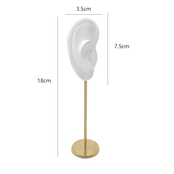 1/2/3 Örhänge Display Stand Human Ear Model Stud Holder Showcase Right Translucent Height: 18cm 1Set