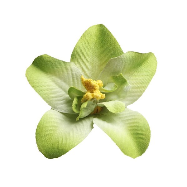 1/2/3 20 st konstgjorda sidenorkidéblomhuvuden för DIY-bröllop Green 1Set
