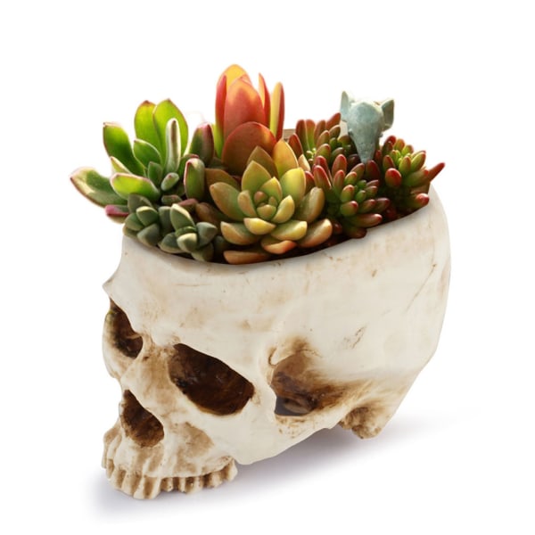 Strong Stability Skull Planter Pot för alla växtälskare Skull
