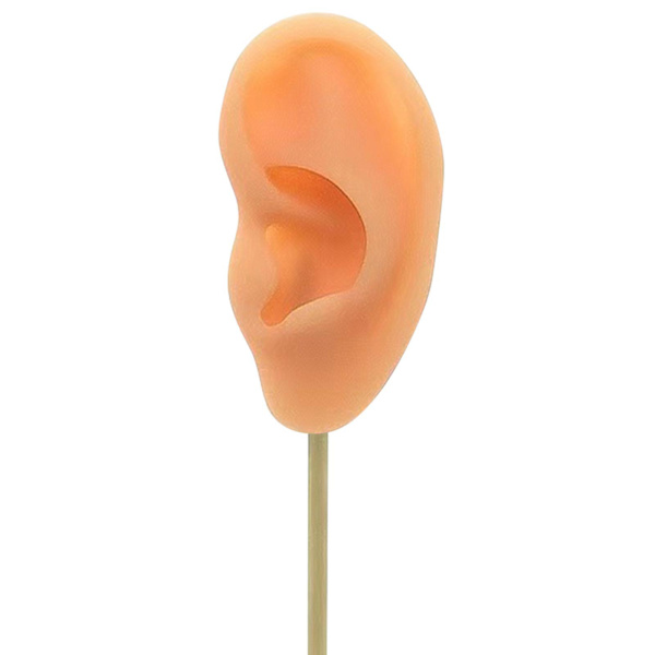 1/2/3 Örhänge Display Stand Human Ear Model Stud Holder Showcase Left Normal Skin Height: 18cm 1Set