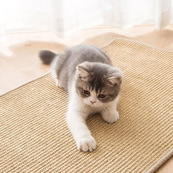 Cat Scratcher Mat Scratch Pad Grinding Claw Protect Sofa S