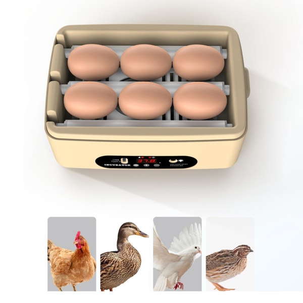 Automatisk Intelligent Egg Incubator Hatcher Machine for Duck Manual Turning