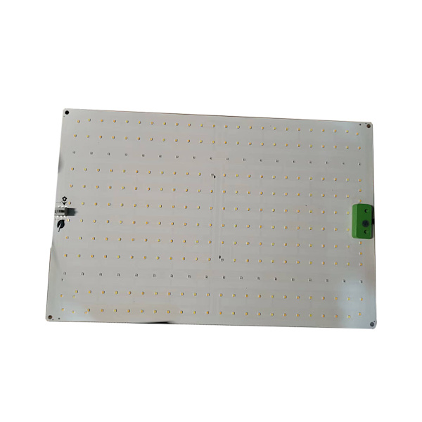 Grow Light Inomhus Vardagsrum Balkong Källare Växt TYPE2 NO2