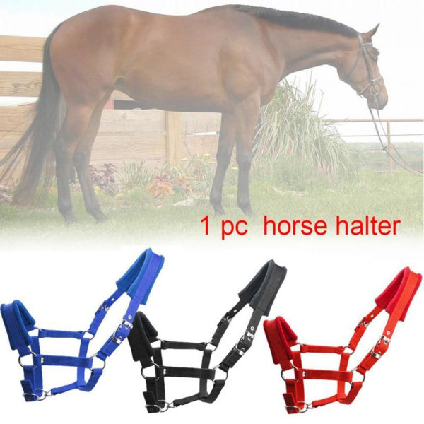 Tjocka ponny Häst Halter Head Collar Ridstall Red S