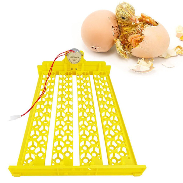 Automatisk plastägg inkubatorbricka för effektiv kläckning 88 Eggs 110V