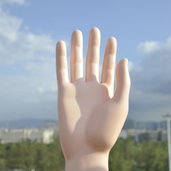 1/2 Man Mannequin Hand Display Smycken Armband Ring Handske Skin 25.5cm 1Set