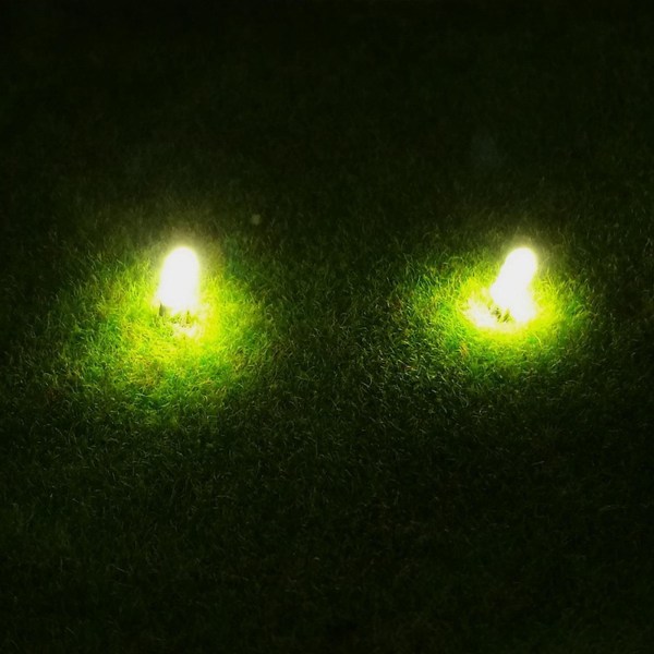 1/2/3/5 10 STK Förkopplade 3 mm LED-glödlampa emitterande dioder DC3V Green 30cm 1Set