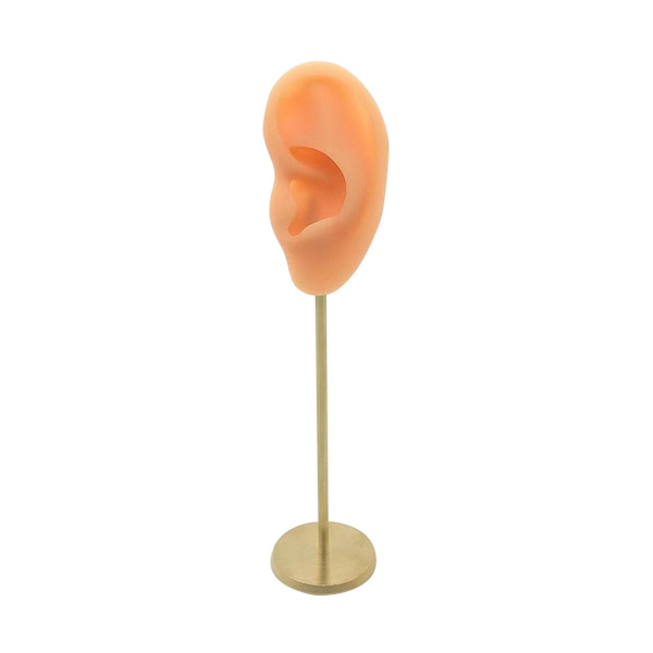 1/2/3 Örhänge Display Stand Human Ear Model Stud Holder Showcase Left Normal Skin Height: 18cm 1Set
