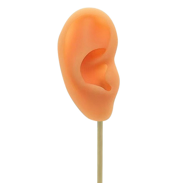 1/2/3 Örhänge Display Stand Human Ear Model Stud Holder Showcase Right Normal Skin Height: 18cm 1Set