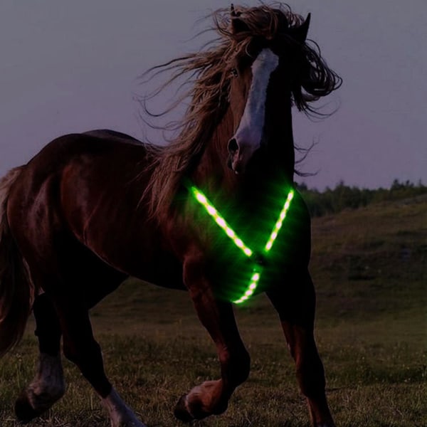 1/2/3/5 justerbar LED-hästbröstkrage mycket synlig Green 1 Pc