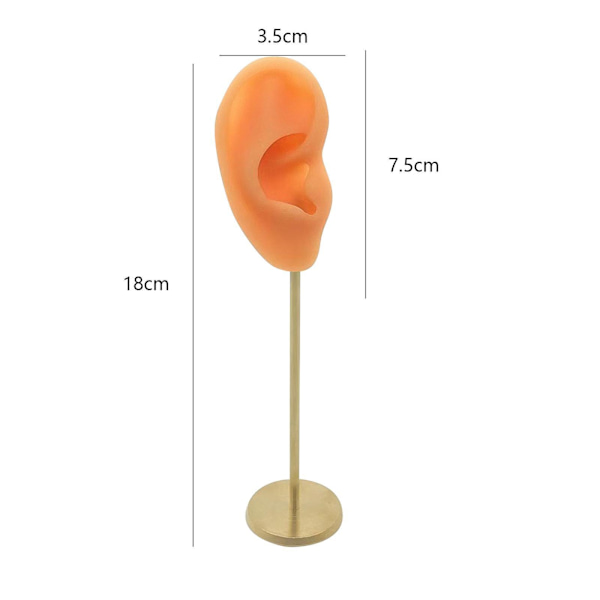 1/2/3 Örhänge Display Stand Human Ear Model Stud Holder Showcase Right Normal Skin Height: 18cm 1Set