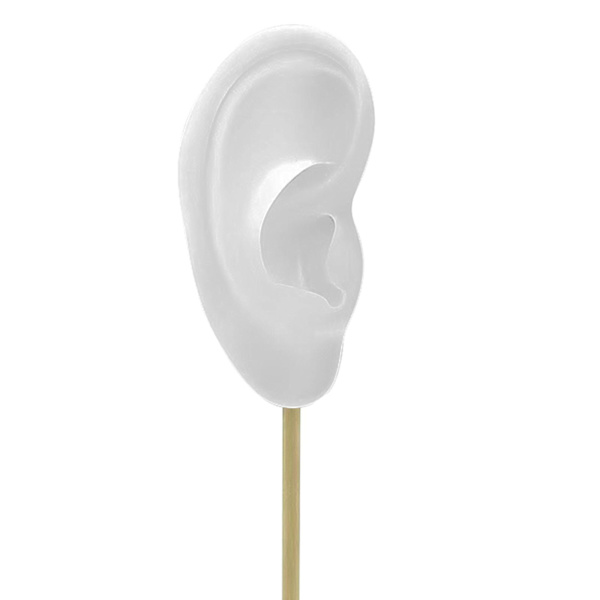 1/2/3 Örhänge Display Stand Human Ear Model Stud Holder Showcase Right Translucent Height: 18cm 1Set