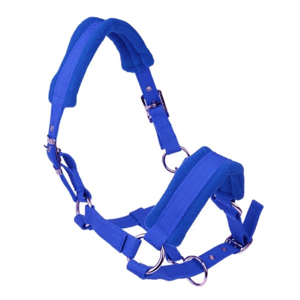 Tjocka ponny Häst Halter Head Collar Ridstall Blue S