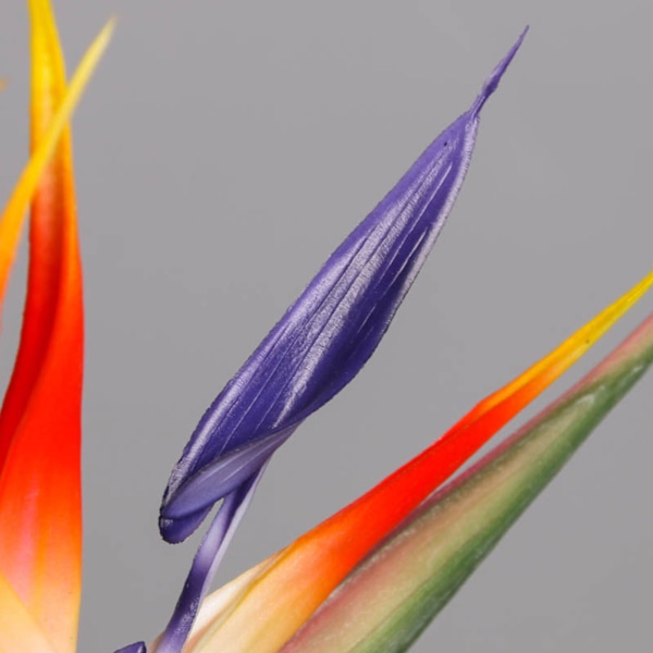 Paradisets Fugl og Hesperima Simulerings Blomsterarrangement Kunstig Blomst Hjem Dekoration