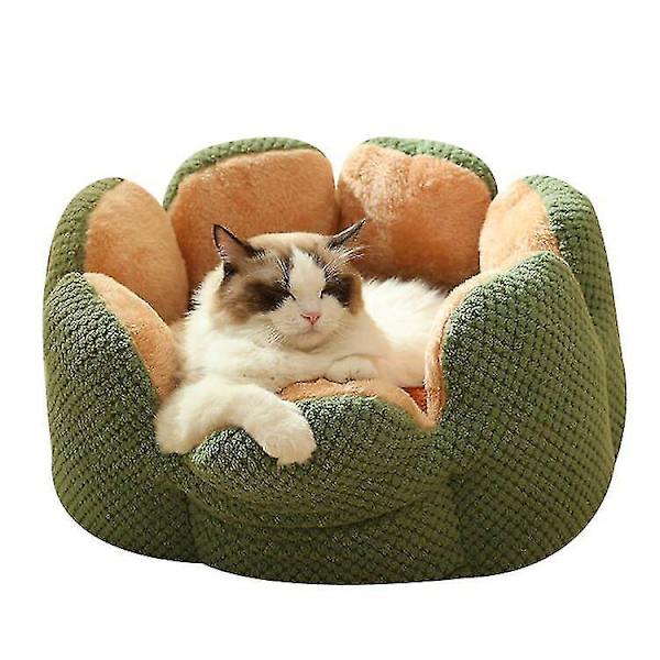 Pludset Grøn Kaktus Katte Nest