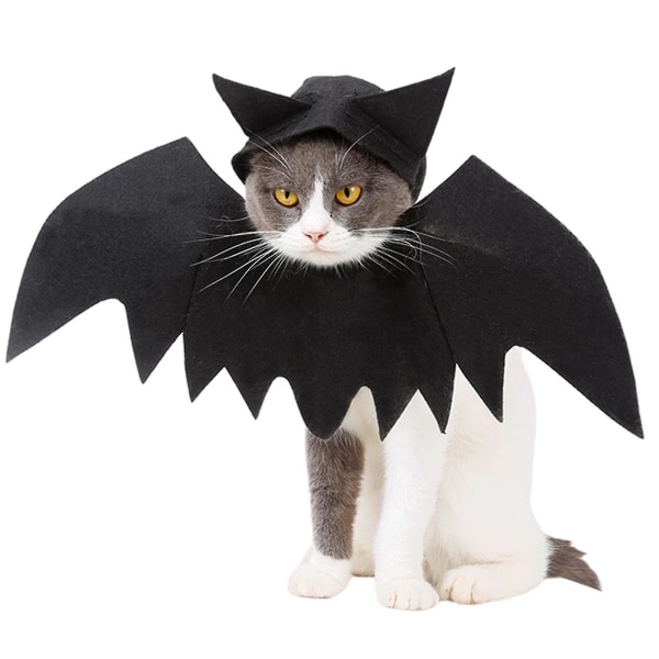 Katt Fladdermus kostym Halloween Wings Hat Katt Husdjur Cosplay Party