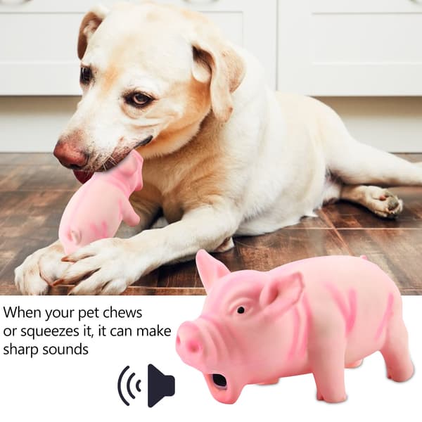Pink Sød Gris Pive Latex Tygelegetøj til Hunde