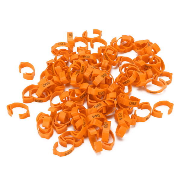 100 kpl siipikarjan jalka-renkaita Tunnistusjalka-soljet numeroilla kanan ankka linnulle oranssi