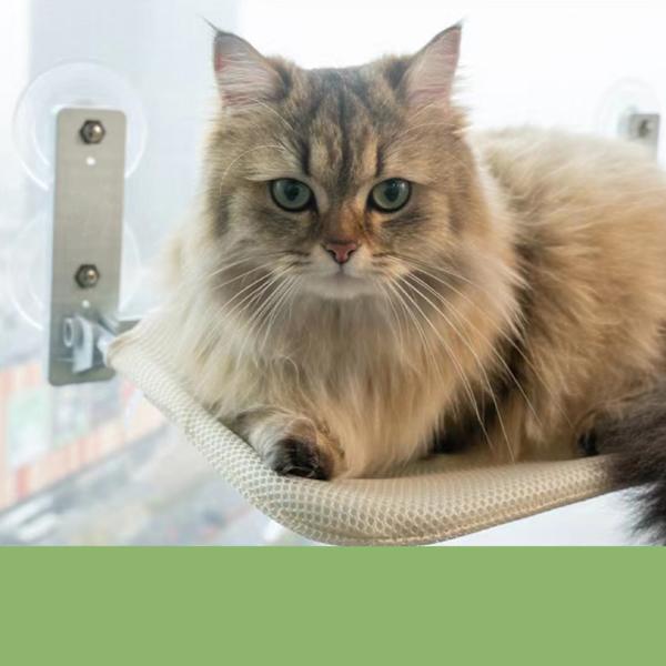 Cat Window Hängmatta hopfällbar sugkopp 44,1 lb lastbärande ventilerande Slitstark stickat nät Cat Window Abborre för hem inomhus