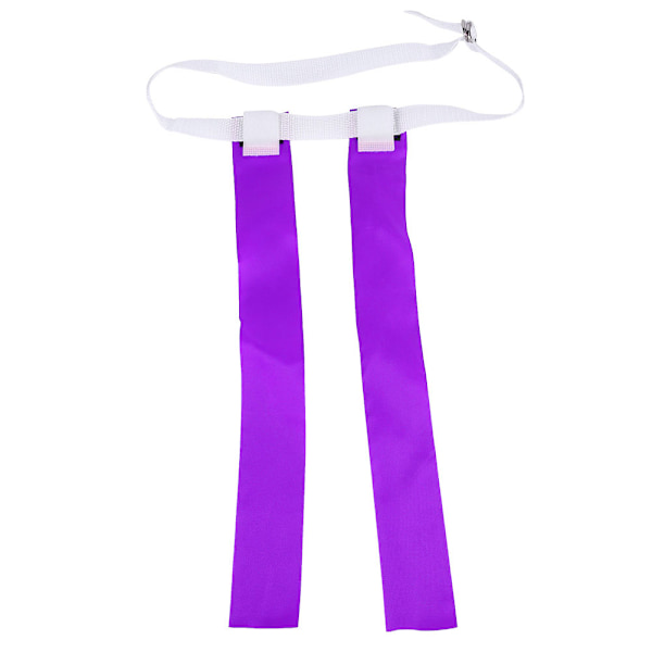 Värikkäät Ribbon Chase Game Barn Ulkoilulelut (Violetti)