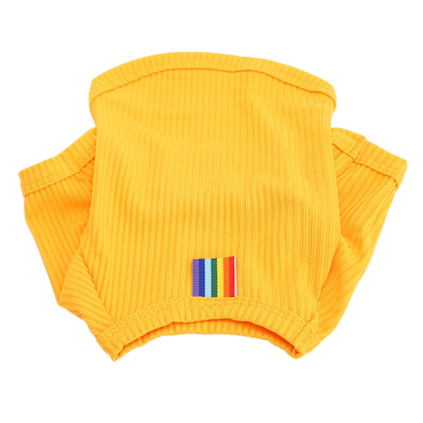 Hundetrøje Is Silke Åndbar Hundekølevest Skjorte Tøj til Små Kæledyr Hund Kat Forår Sommer Orange 2XL