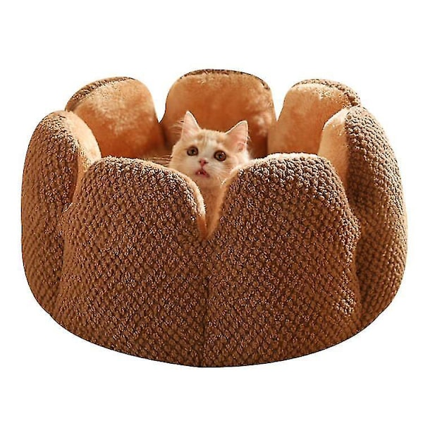 Kaktus kronblad plysch kattbo, brun, liten