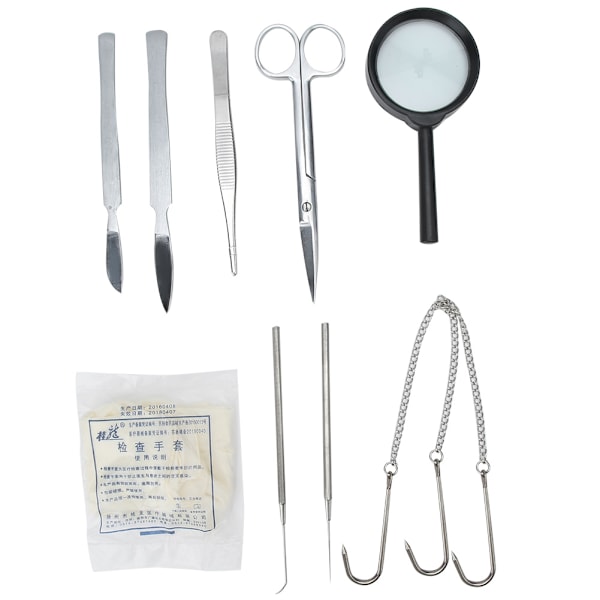 Dissektions-dissektionssats i rostfritt stål för Biology Student Lab Veterinary Anatomy Tools