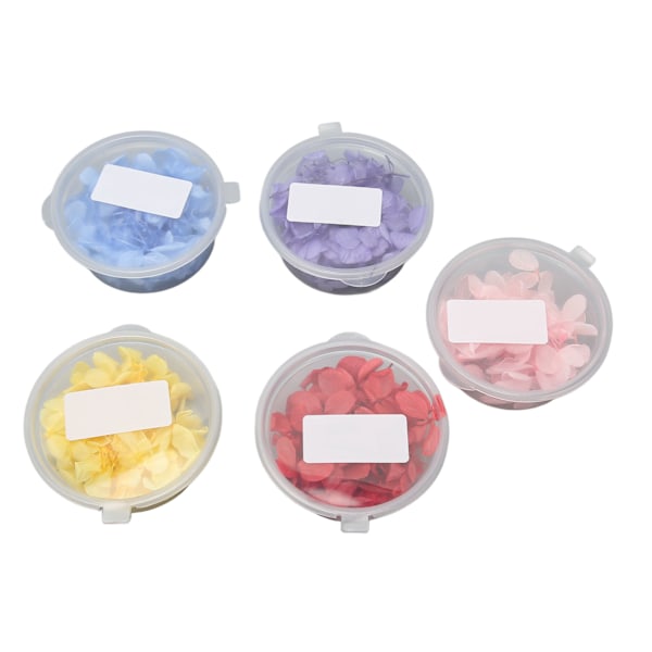 5 st Torkade Pressade Blommor 5 Färger Hortensia Kronblad för Hängsmycke Halsband Smyckestillverkning Hantverk DIY Tillbehör