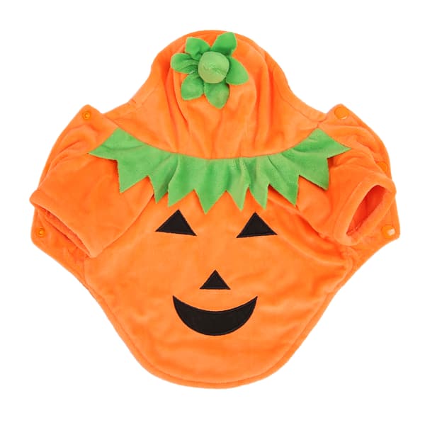 Orange Halloween Hundekostume til Mellemstore og Store Hunde