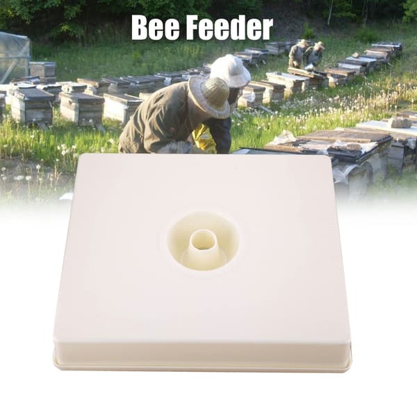 Plastic Bee Water Feeder Beehive Drinking Bowl Beekeeping Equipment Beekeeping Tool