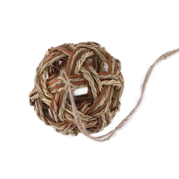 Kanin biter boll Säker ofarlig multifunktionell Bekväm Hamster Chews Aquatic Ball Toy
