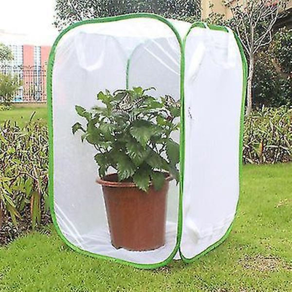 Foldbar Butterfly Habitat Bur - Stor Terrarium til Insekt Opdræt