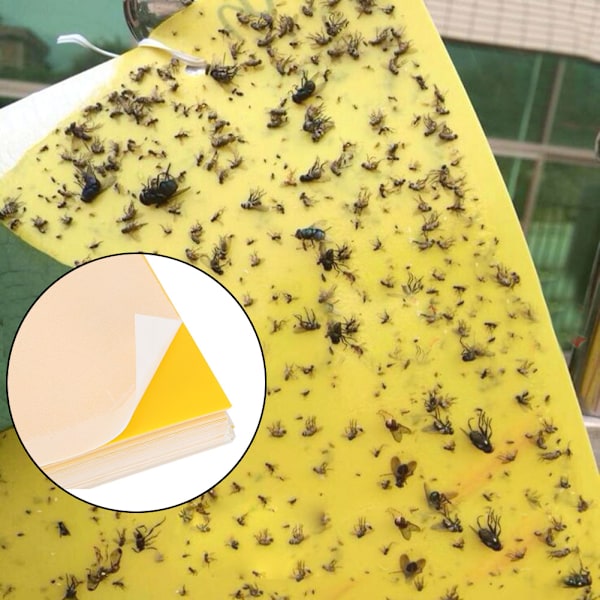 50 stk dobbeltsidig insektsfelle Limfelle for flygende insekter Catcher Garden