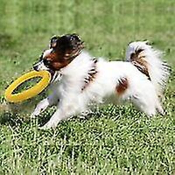 Hund Fitness Ring, Hund Bite Ring, Hund Agility Träningsutrustning, Interaktiv Tug Of War Training Ring för små hundar