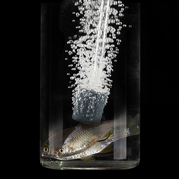 Bærbar Fiskesyrepumpe Vandabsorber Smart Automatisk Induktion LED Fiskesyrepumpe