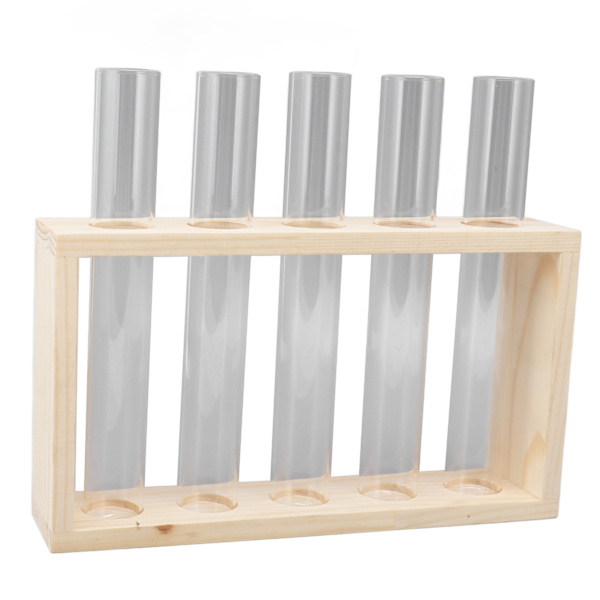 5 Reagensrørsplanter Terrarium Transparent Observer Tilvekststatus Vannplanteholder med treben for urteplante