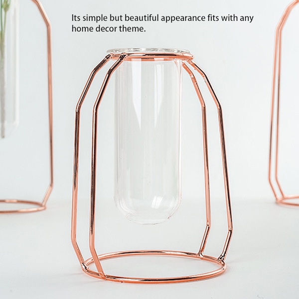 Läpinäkyvät hydroponiset kasvivasit Kukkaruukku Pöytäkoristeet Rose Gold