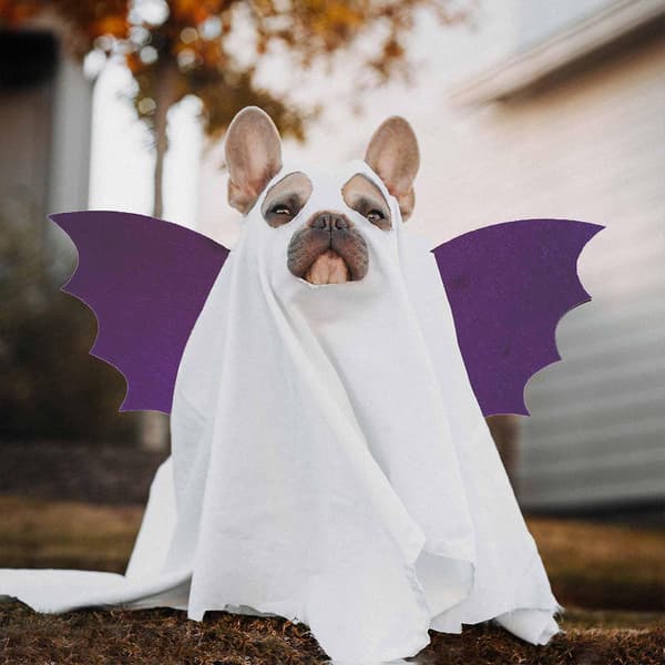 Rollspel Fladdermusvingar Mjuka och bekväma tyger för Halloweenfestgåvor Presentbyte Blå Blue 0-5years