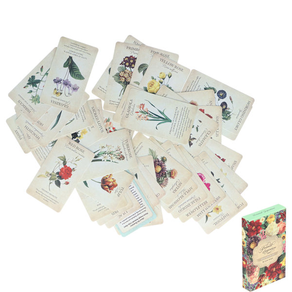 Nybörjare Oracle Cards Set Spådomssägande vägledning spådom Oracle Deck Party Game Present