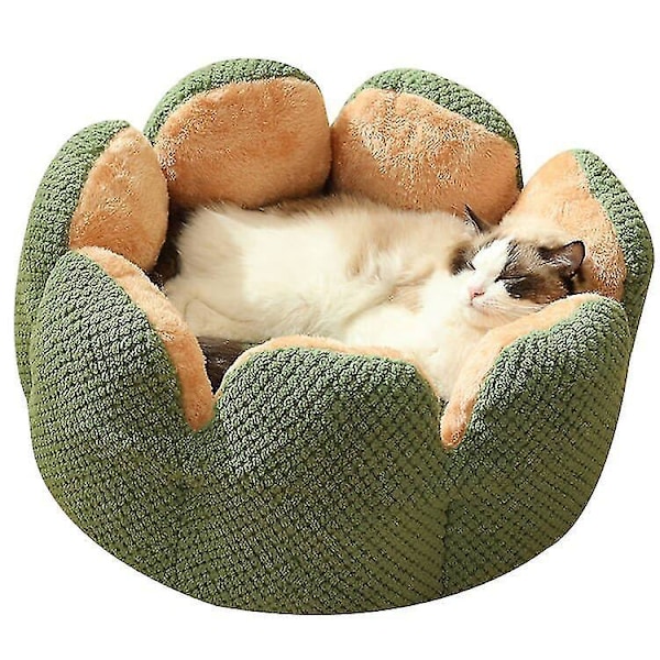 Pludset Grøn Kaktus Katte Nest