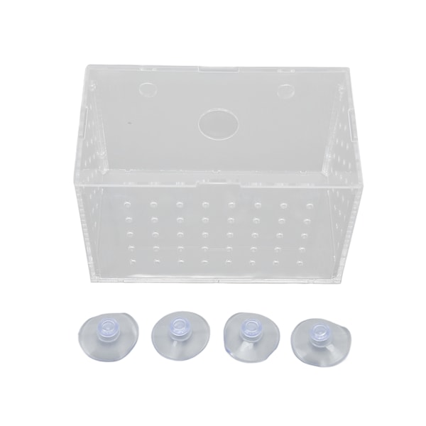 Fiskeyngelkasse Høj gennemsigtig akryl klækningsinkubator tank med sugekopper til babyfisk Rejer Clownfisk 14x8x9cm / 5,5x3,1x3,5in