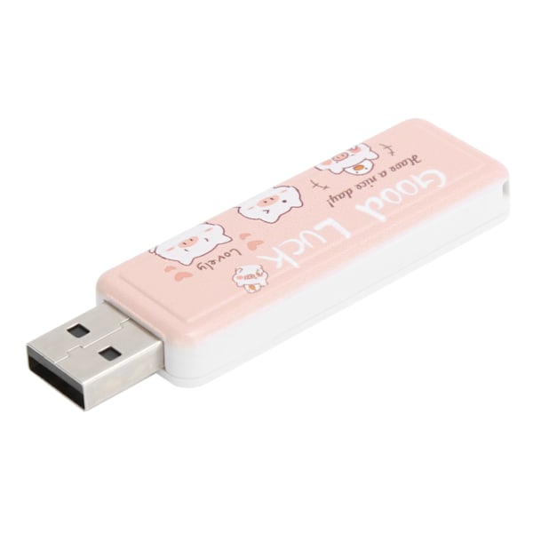 USB2.0 PushPull Flash-stasjon Minne Bedriftsgave Bil Datatilbehør (Lykkegris 128GB)
